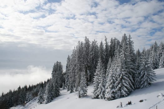 Snow in the Alps