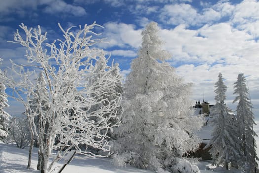 Snow in the Alps