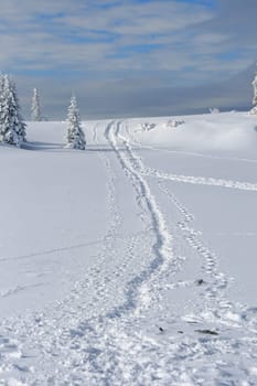 Snow in the Alps