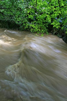 Flood