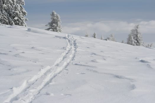 Snow in the Alps