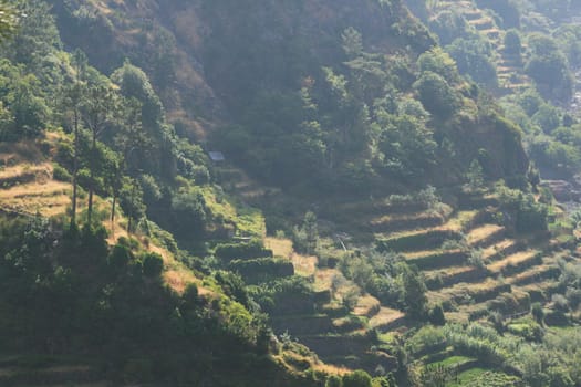 Madeira