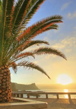 Madeira