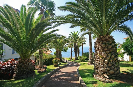 Madeira
