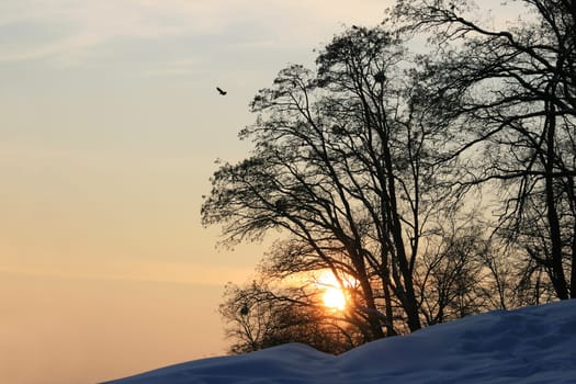 Sunset in winter
