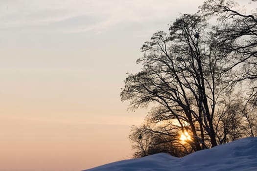 Sunset in winter
