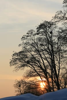Sunset in winter