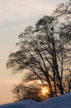 Sunset in winter