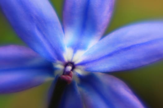Blue Star