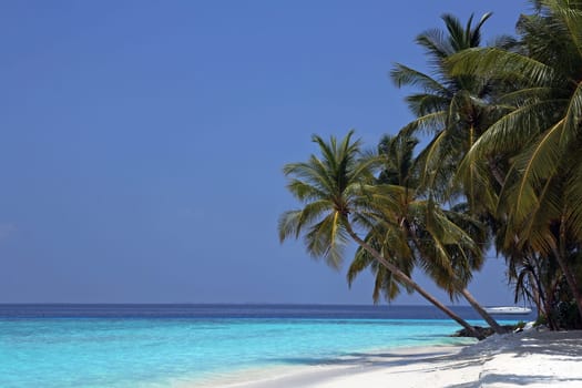 The beautiful white beach in the Maldives