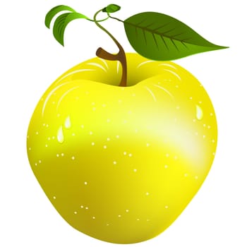 Image shows a fresh, juicy golden apple over white background. Gradient mesh object.