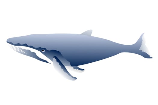 The great sperm whale, isolated objects over white