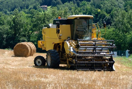 combine in a cornfield