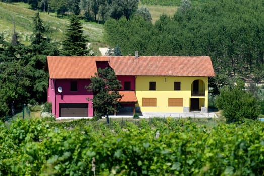 house of three colors