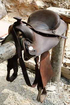 saddle horse on the fence