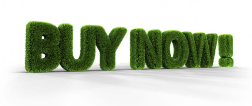 Grass words, buy now, isolated on white background, 3D render