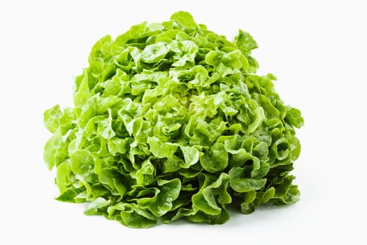 Lollo light salad