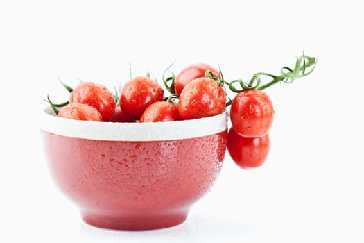 Vine tomatoes