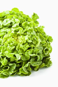 Lollo light salad