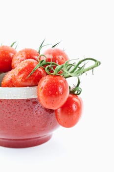 Vine tomatoes