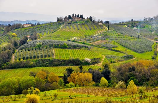 Typical Tuscany landscape in spring, Italy