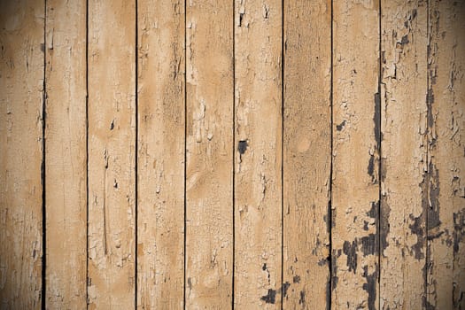 Texture - wooden wall with old paint
