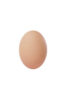 Egg Isolated