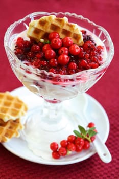 White yogurt with caramelized berries and honey waffle