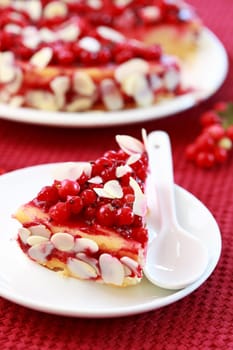 Delicious cheesecake with redcurrant and almond
