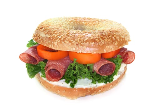 a bagel topped with salami and paprika