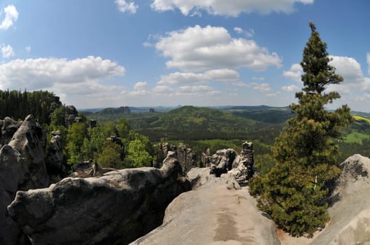 View from the Affensteine to the Falkenstein in Saxon Switzerland