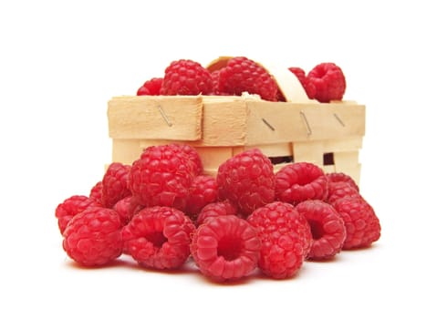 some raspberries (Rubus idaeus)