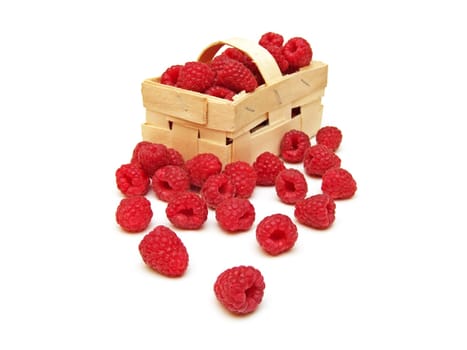 some raspberries (Rubus idaeus)