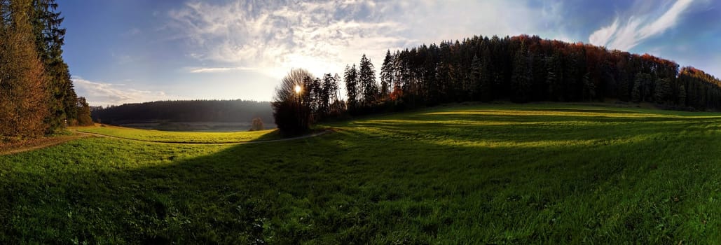 Clearing near Titting,Altmühltal Nature Park,Bavaria,Germany