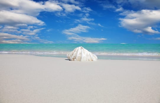 Tropical beach with crystal clear water in Karimujawa islands, Indonesia