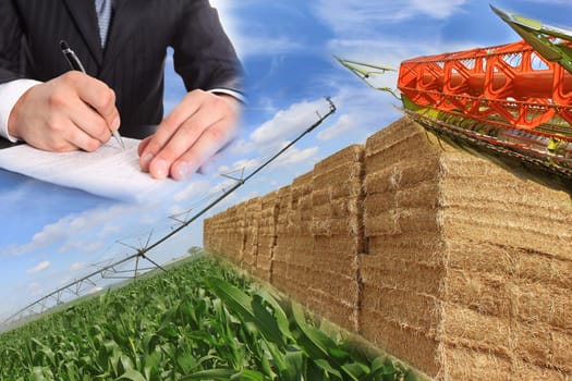 layout of straw bales, corn field, and combine with signing a purchase contract with a commercial farming