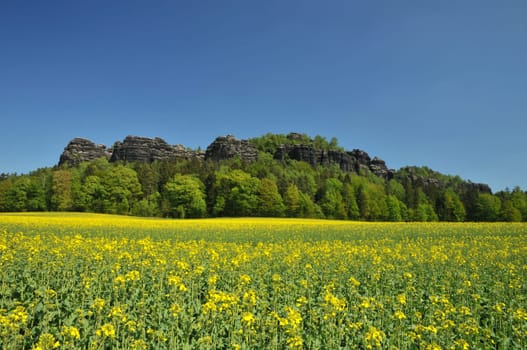 The Pfaffenstein in Saxon Switzerland