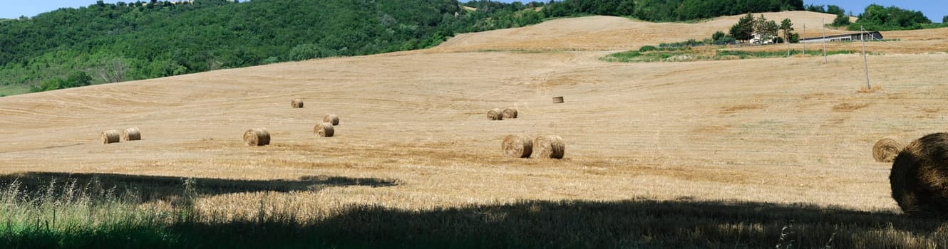 overview of a corn field after harvest with bales of hay