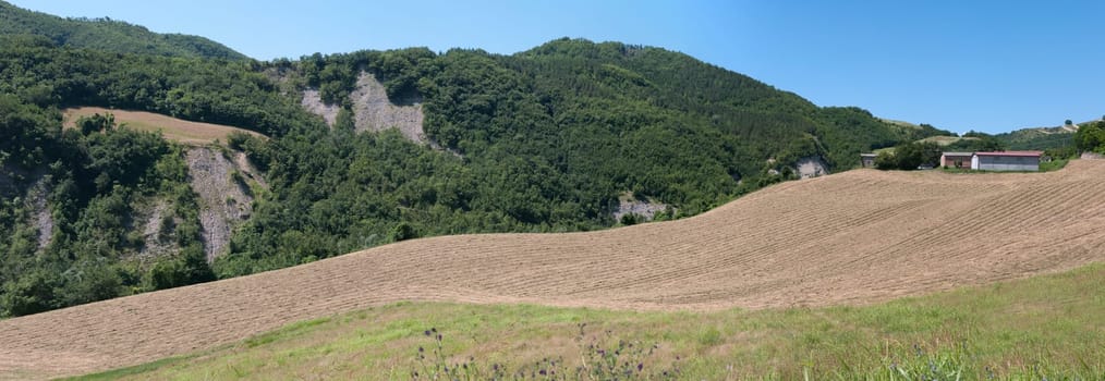 overview of a freshly cut field of wheat