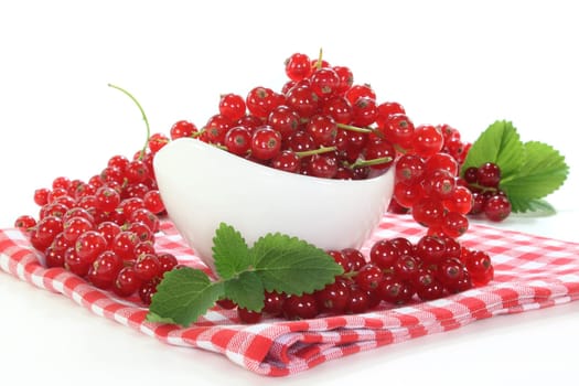 Red currants against white background