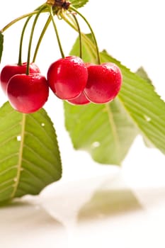 Fresh cherries against white background