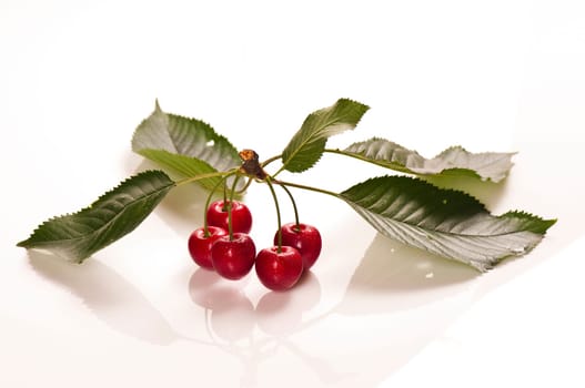 Fresh cherries against white background