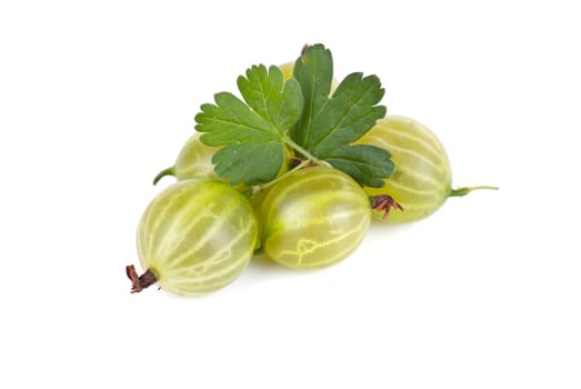 green ripe gooseberries isolated on a white background
