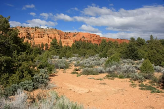 Roads and trails in Red Canyon