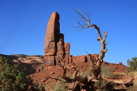 Rocks and tree against blue sky