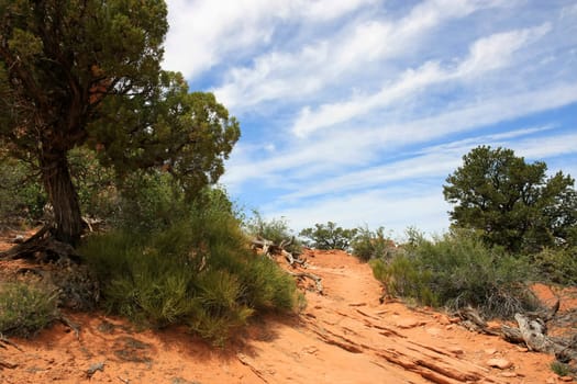 Trails in Arches National Park,Utah