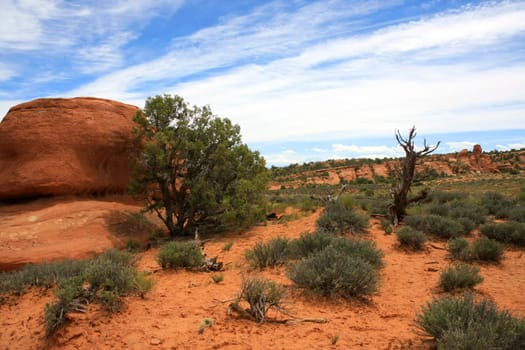 Rock formations and arches in Arches National Park,Utah