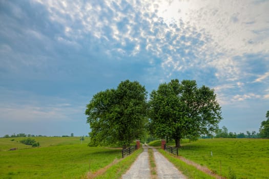 Entrance to a long country driveway lined with old trees