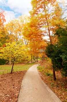Beautiful fall scenery in the one of the city parks in Indianapolis, Indiana