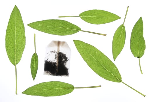 Sage tea